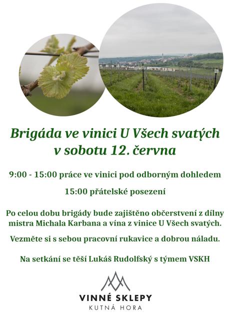 Brigáda na vinici u všech svatých