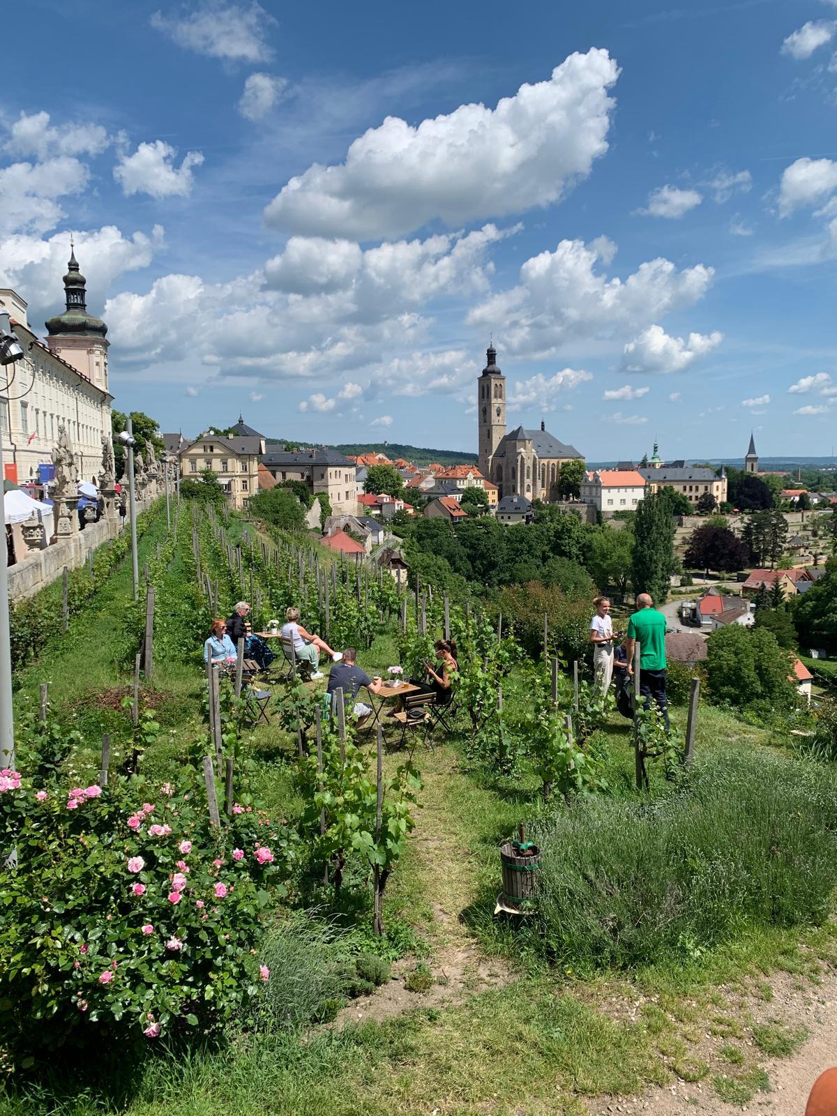 *Ochutnávkový stánek* <br>(Vinice pod Barborou)