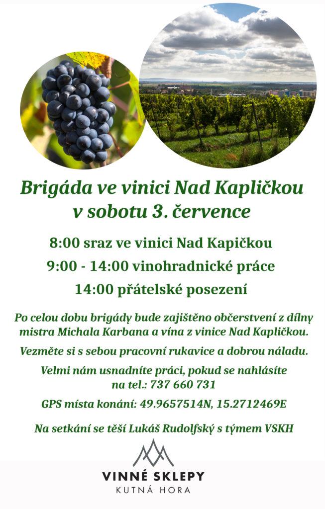 Brigáda ve vinici nad kapličkou