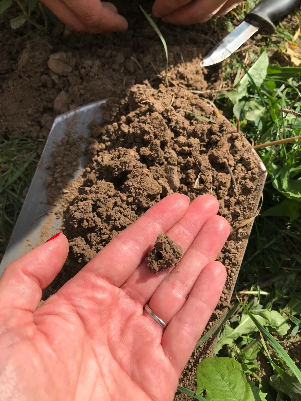 Kde víno začíná svou cestu